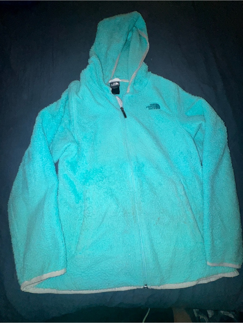 The North Face Aqua Zip-Up Hooded Fleece Jacket